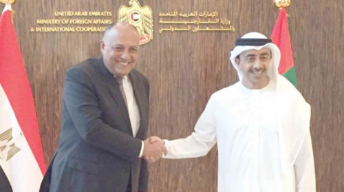 شكري وبن زايد يرفضان التدخل الأجنبي في الدول العربية