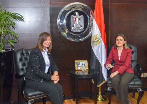 اللجنة التنفيذية لـ"مصر تستطيع بالاستثمار" تستعرض ترتيبات المؤتمر