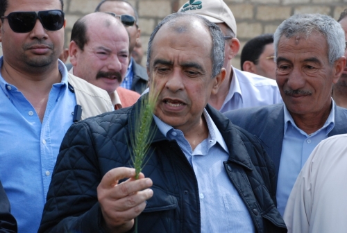 مصر : الزراعة تقدم كشف حساب كامل بمناسبة ٣٠ يونيو.