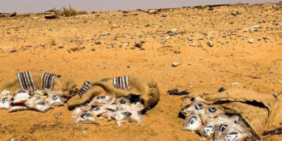 السعودية.. إحباط تهريب 360 ألف حبة كبتاغون إلى المملكة - فيديو