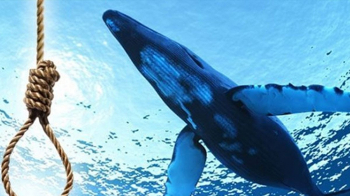 فتاة سورية تنتحر شنقا بسبب "الحوت الأزرق"