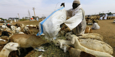 السعودية تعتذر للسودان عن إيقاف صادر الهدي والأضاحي
