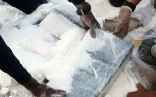 اليمن .. تحت إشراف اللواء شلال شايع ضبط ٣ طن حشيش في احد الحاويات بميناء عدن «صور»