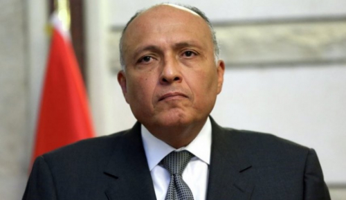 سامح شكري .. ما يثار ضد مصر من مغالطات يحتاج ردودا مهنية مبنىة على حقائق