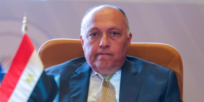 وزير الخارجية المصري يوجه خطابا لمجلس الأمن الدولي بخصوص سد النهضة