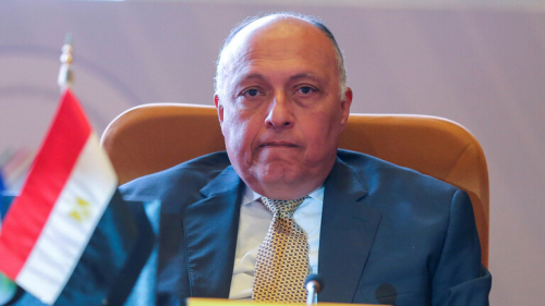 وزير الخارجية المصري يوجه خطابا لمجلس الأمن الدولي بخصوص سد النهضة