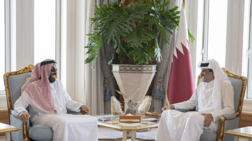 أمير قطر يستقبل مستشار الأمن الوطني الإماراتي