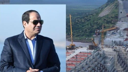 الرئيس السيسي يتحدث عن خطورة السياسات الأحادية عند القيام بمشاريع على الأنهار الدولية