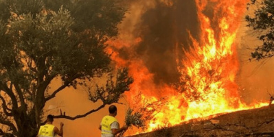 حصيلة ضحايا حرائق الجزائر ترتفع إلى 38 قتيلا
