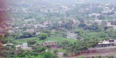 مقتل زوجة على يد زوجها دفاعاً عن شقيقه في الضالع
