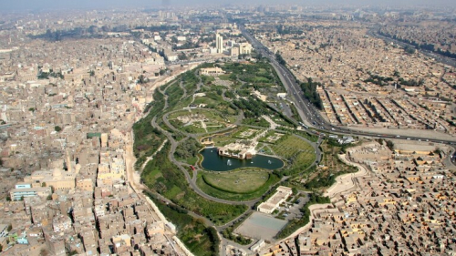 "هل قطع الأشجار السبب؟".. خبراء يردون على تقرير حول نذير شؤم للعالم ينطلق من مصر