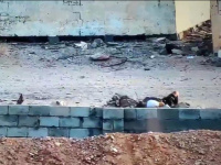 بصوت الضحية قبل مقتله.. قبائل الصبيحة تتهم قيادة لواء بـ"دفاع شبوة" بتدبير اغتيال ابنها وتطالب بتسليمهم فوراً