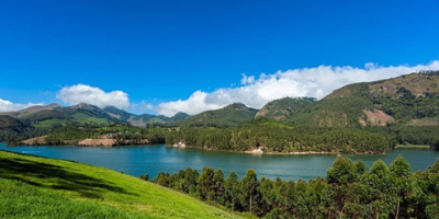 ضفدع يشبه الخنزير!.. اكتشاف غامض في جبال الهند يربك العلماء «صور»