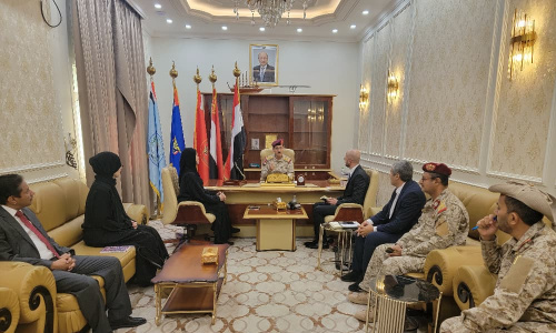 وزير الدفاع يبحث مع &laquo;الصليب الأحمر&raquo; تعزيز التعاون الإنساني وسبل إنهاء معاناة الأسرى والمختطفين