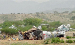 ارتفاع عدد النازحين في اليمن إلى 5.2 مليون وسط تفاقم الأزمة الإنسانية